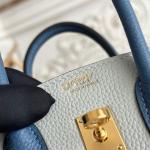 Hermes Birkin Bag togo Leather Pastel Grey